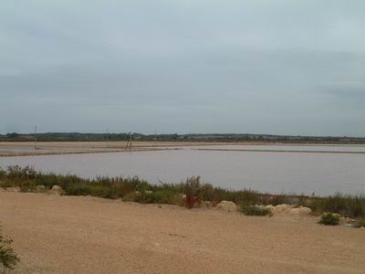 DSCF0073.JPG